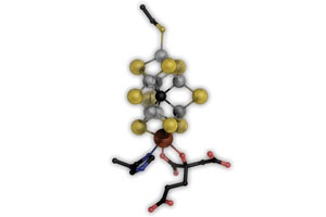 Biological Model for Industrial Fertilizer