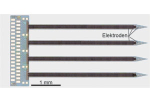 New Probes for the Brain