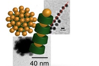 Protein Building Blocks for Nanosystems 