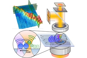  Soft Probing with Optical Tweezers 