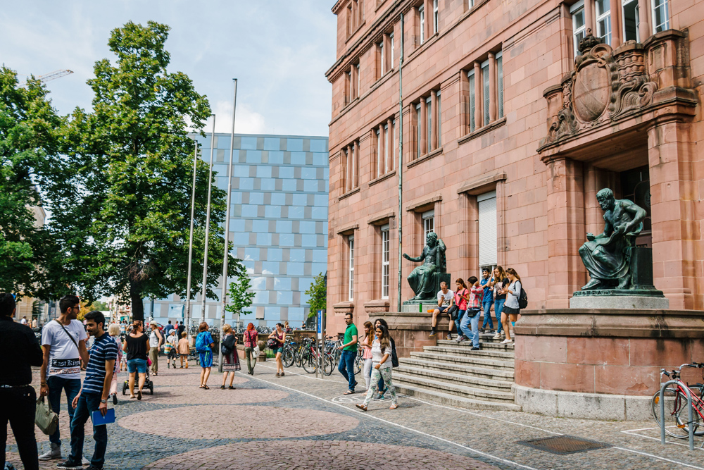 Freiburg among the top universities