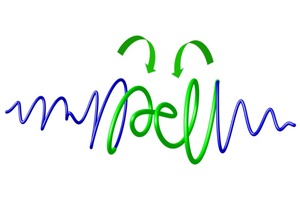 Looking at complex light wave forms