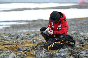 Survival Artists in the Antarctic 