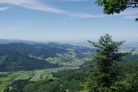 The Black Forest and Climate Change
