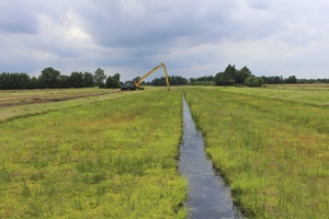 Against Peatland Loss