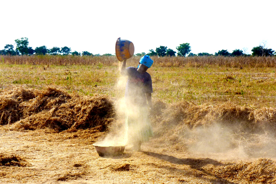 Small Farmers Draw the Short Straw