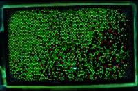 Copying Biomolecules and Maximizing Innovation Potential