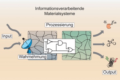 Biological signalling processes in intelligent materials