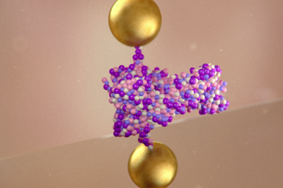 Dynamics of individual proteins