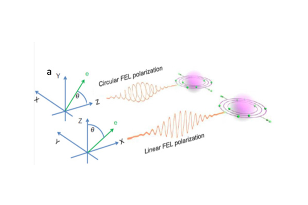 Electrons Under Observation 