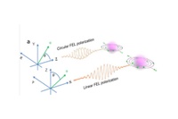 Electrons Under Observation 