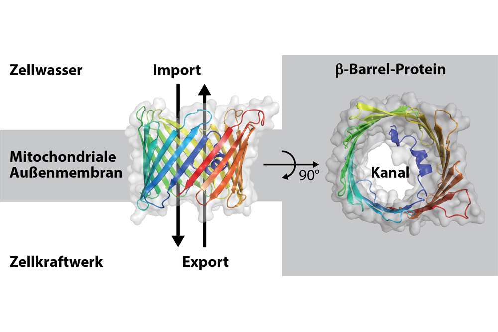 Energy supply channels 