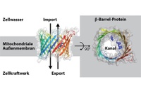 Energy supply channels 