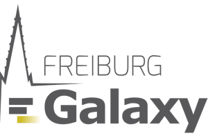 Green Light for Galaxy Europe