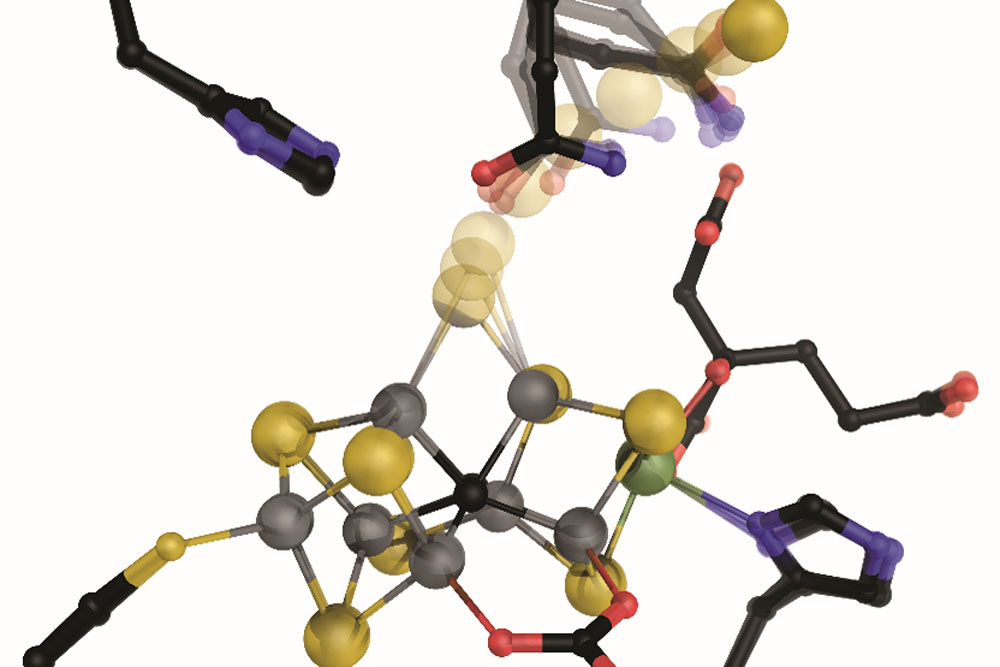 On the Track of Nitrogenase