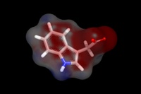 Signaling Pathways to the Nucleus