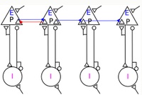 Loop, Resonate, and Accelerate!