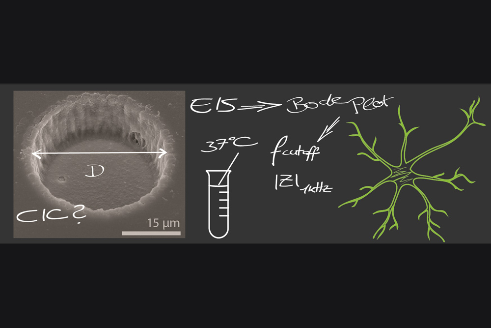 Performance test for neural interfaces