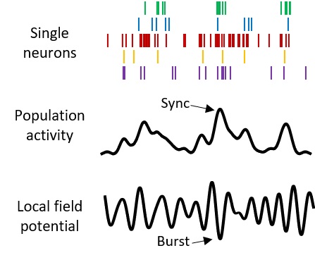 Competing bursts 