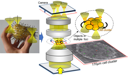 Fingers Made of Laser Light: Controlled Grabbing and Rotation of Biological Micro-Objects