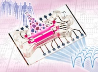New organ-on-chip system enables precise monitoring of 3D tumour tissue outside the body