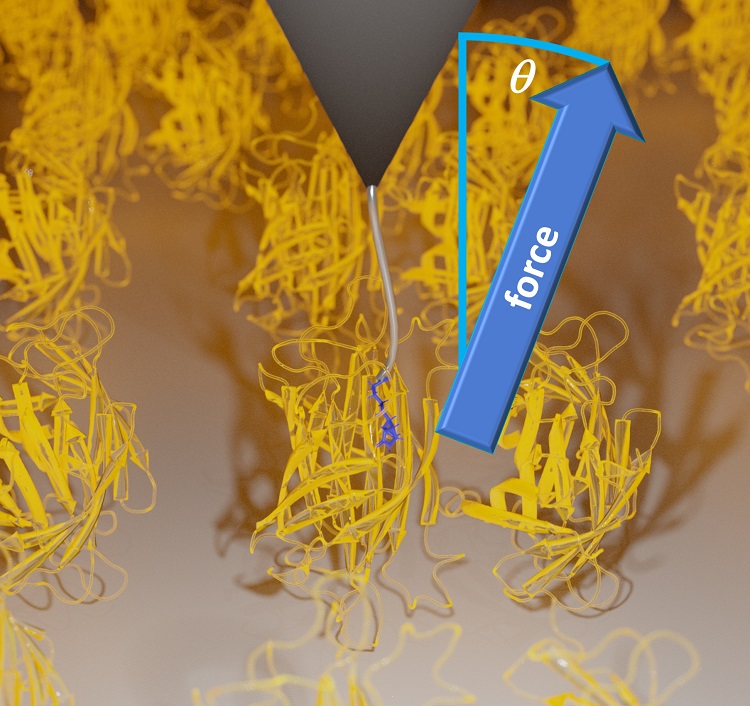 New Type of Friction Discovered in Ligand-Protein Systems
