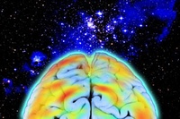 „Bild Dir ein Gehirn“ – unterschiedliche Perspektiven auf ein faszinierendes Organ