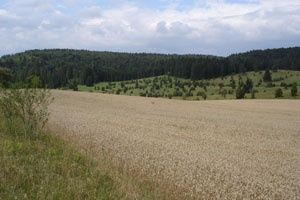 Ökosystemleistungen für die Landwirtschaft