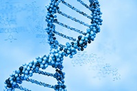 Was sagen uns die Gene?