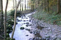 Stipendium für Freiburger Hydrologen