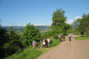 Natur genießen, Gassi gehen 