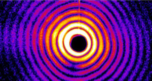 Bewegungen von Nanopartikeln sichtbar machen