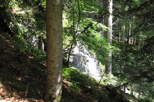 Der Nordschwarzwald als Reallabor