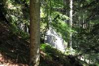 Der Nordschwarzwald als Reallabor