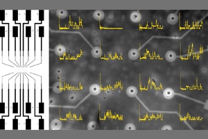 Künstliche Zellmembranen auf Knopfdruck 