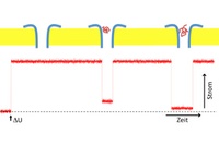 Bakterienprotein als Sensor