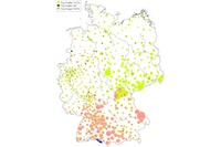 Geiger oder Fiedler, Roth oder Weiß