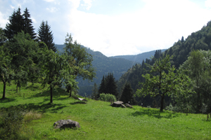 Mitarbeiter auf Wanderschaft