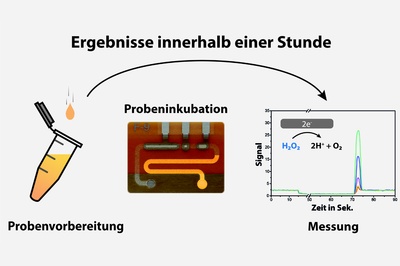 Medikamente individuell dosieren