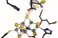 Der Nitrogenase auf der Spur