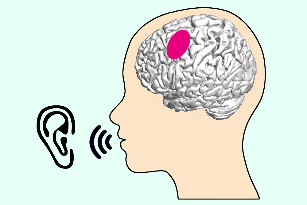 Hirnregionen mit Doppelfunktion für Sprache