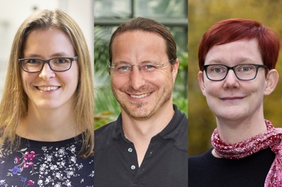 Drei neue Consolidator Grants an der Universität Freiburg