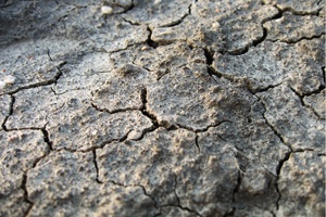Potenzielle Folgen von Dürre frühzeitig erkennen