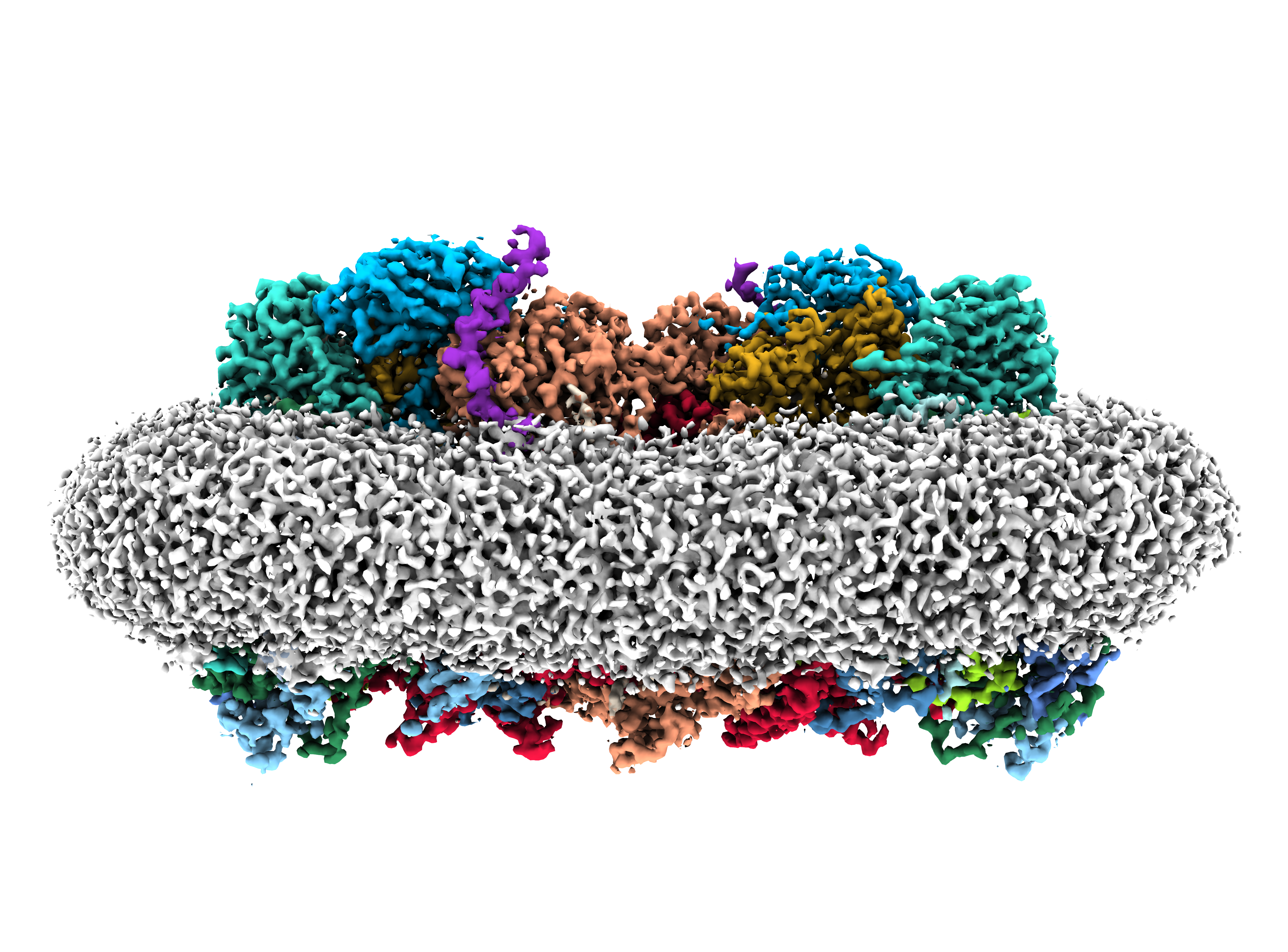 Proteinmaschine der Atmung wird sichtbar