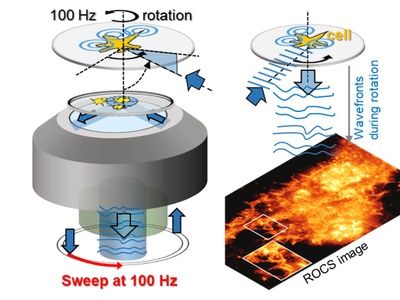 Rotierendes blaues Laserlicht macht ungeahnte Dynamiken in lebenden Zellen sichtbar