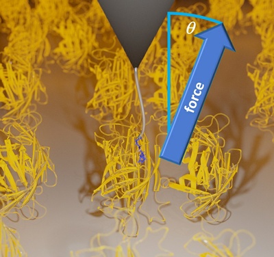 Neue Reibungsart in Ligand-Protein-Systemen entdeckt