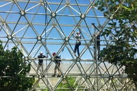 Trockenzeit in der Biosphäre 2