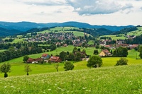 Erste Ergebnisse zu gesundheitlichen Folgen der Biomasseverbrennung 