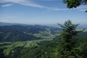 „Forstwissenschaftliche Tagung“ in Freiburg